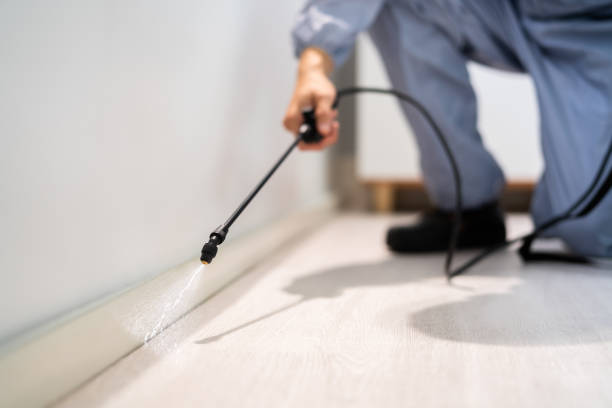 Licensed Rodent Control service in Scott County County, TN - Nex Pest Control